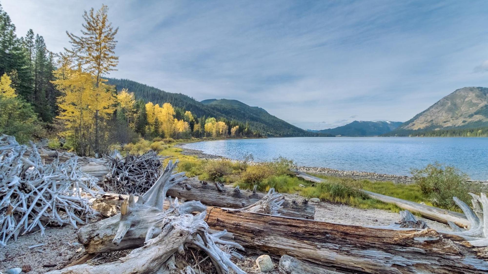 Raven Haven Lodge By Nw Comfy Cabins Leavenworth Eksteriør bilde